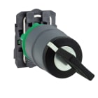 SCHNEIDER ELECTRIC - Schlüsselschalter, Harmony XB5, Kunststoff, hellgrau, schwarz, 2 Stellungen, 22mm, rastend, Ronis 455, 1S