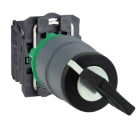 SCHNEIDER ELECTRIC - Schlüsselschalter, Harmony XB5, Kunststoff, hellgrau, schwarz, 2 Stellungen, 22mm, tastend, Ronis 455, 1S