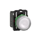 SCHNEIDER ELECTRIC - Leuchtdrucktaster, Harmony XB5, Kunststoff, weiß, 22mm, universelle LED, glatte Kalotte, 1S + 1Ö, 24V ACDC