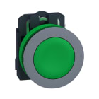 SCHNEIDER ELECTRIC - Drucktaster, Harmony XB5F, Kunststoff, hellgrau, grün, unbeschriftet, 30mm, tastend, 1S