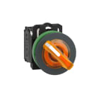 SCHNEIDER ELECTRIC - Leuchtwahlschalter, Harmony XB5F, Kunststoff, orange, 30mm, universelle LED, 2 Stellungen, 1S + 1Ö, 24V ACDC