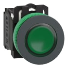 SCHNEIDER ELECTRIC - Leuchtdrucktaster, Harmony XB5F, Kunststoff, antimikrobiell, grün, 30mm, universelle LED, 1S + 1Ö, 24V ACDC