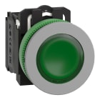 SCHNEIDER ELECTRIC - Leuchtdrucktaster, Harmony XB5F, Kunststoff, antimikrobiell, hellgrau, grün, 30mm, universelle LED, 1S + 1Ö, 24V ACDC