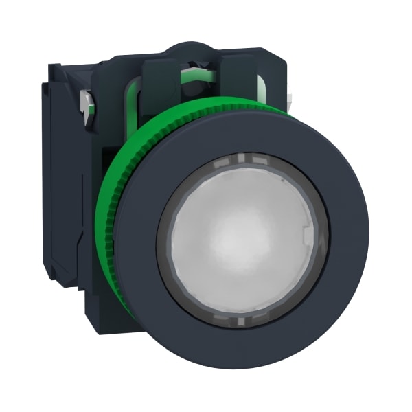 SCHNEIDER ELECTRIC - Leuchtdrucktaster, Kunststoff, komplett, 30mm, kundenspezifisch via Konfigurator