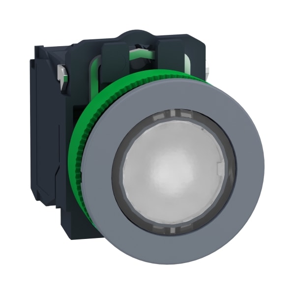 SCHNEIDER ELECTRIC - Leuchtdrucktaster, Kunststoff, komplett, 30mm, kundenspezifisch via Konfigurator