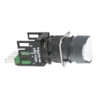 SCHNEIDER ELECTRIC - DRUCKTASTER WS
