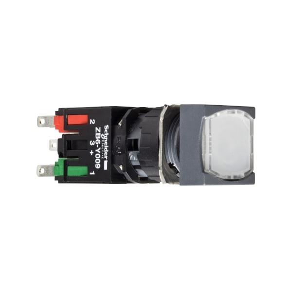 SCHNEIDER ELECTRIC - LEUCHTDRUCKTASTER WS