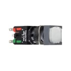 SCHNEIDER ELECTRIC - LEUCHTDRUCKTASTER WS