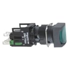 SCHNEIDER ELECTRIC - LEUCHTDRUCKTASTER GN