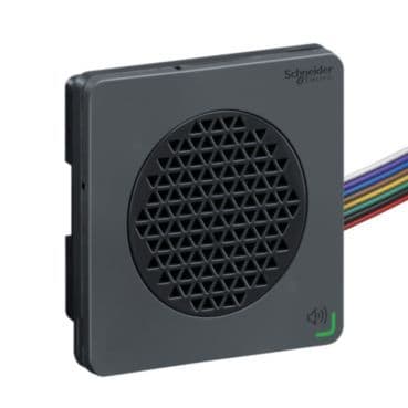 SCHNEIDER ELECTRIC - Einstellbare elektronische Alarme - DIN72 - Sprachmodul - schwarz - NPN - 12...24 V DC