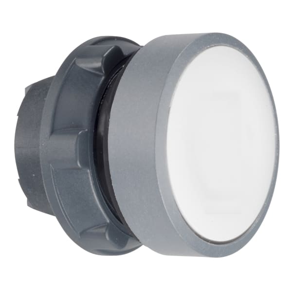 SCHNEIDER ELECTRIC - Drucktaster, Frontelement, Harmony XB5, Kunststoff, 22mm, hellgrau, weiß, unbeschriftet, tastend