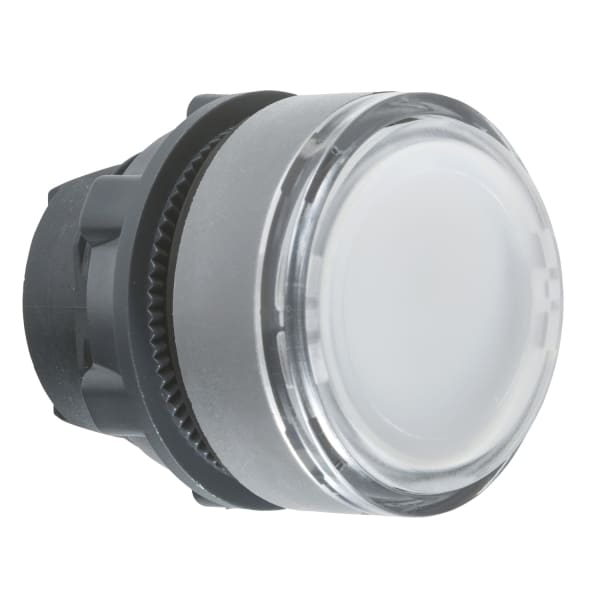 SCHNEIDER ELECTRIC - Drucktaster, Frontelement, Harmony XB5, Kunststoff, 22mm, kundenspezifisch via Konfigurator
