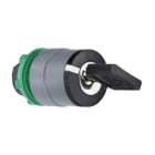 SCHNEIDER ELECTRIC - Schlüsselschalter, Frontelement, Harmony XB5, Kunststoff, 22mm, hellgrau, schwarz, 2 Stellungen, rastend