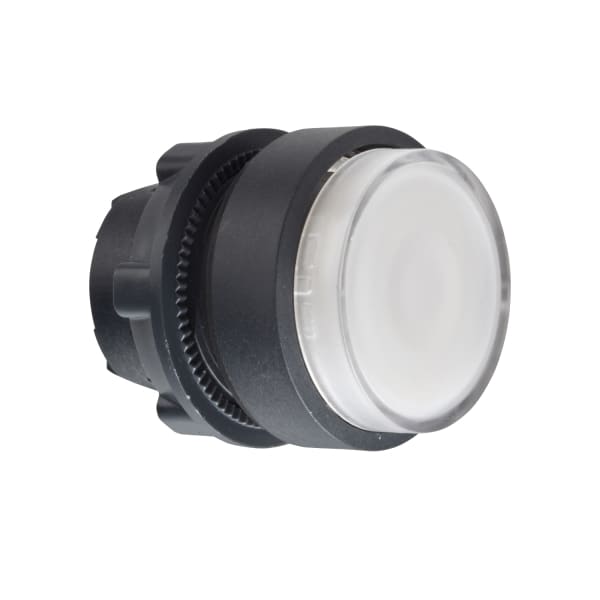 SCHNEIDER ELECTRIC - Drucktaster, Frontelement, Harmony XB5, Kunststoff, 22mm, kundenspezifisch via Konfigurator