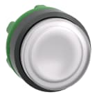 SCHNEIDER ELECTRIC - Leuchtdrucktaster, Frontelement, Harmony XB5, Kunststoff, 22mm, weiß, vorstehend, für universelle LED