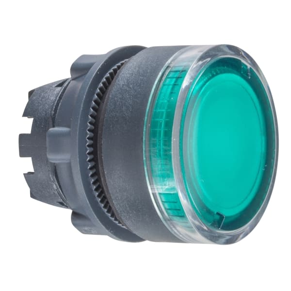 SCHNEIDER ELECTRIC - Leuchtdrucktaster, Frontelement, Harmony XB5, Kunststoff, 22mm, grün, für BA9s