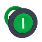 SCHNEIDER ELECTRIC - Frontelement Drucktaster Frontelement flacher Einbau Ø 30mm in grün, mit Beschriftung I