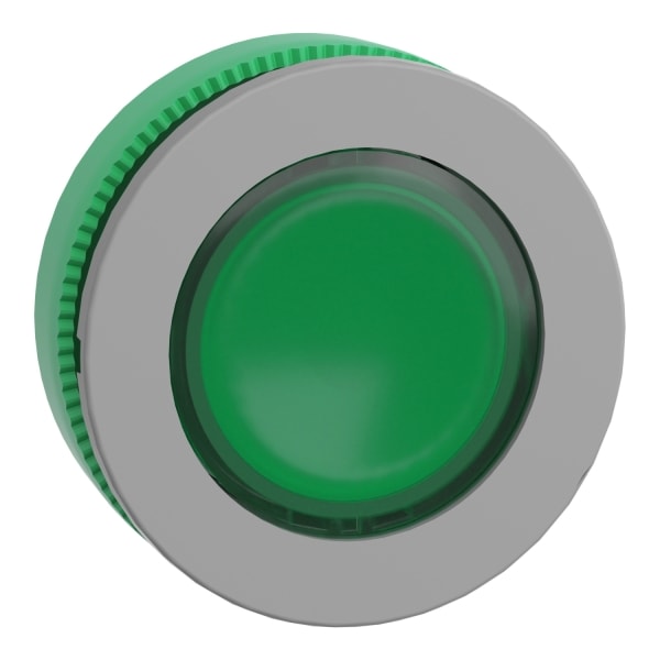SCHNEIDER ELECTRIC - Leuchtdrucktaster, Frontelement, Harmony XB5F, Kunststoff, 30mm, grün, unbeschriftet, für universelle LED, rastend