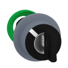 SCHNEIDER ELECTRIC - Schlüsselschalter, Frontelement, Harmony XB5F, Kunststoff, 30mm, hellgrau, schwarz, 2 Stellungen, tastend