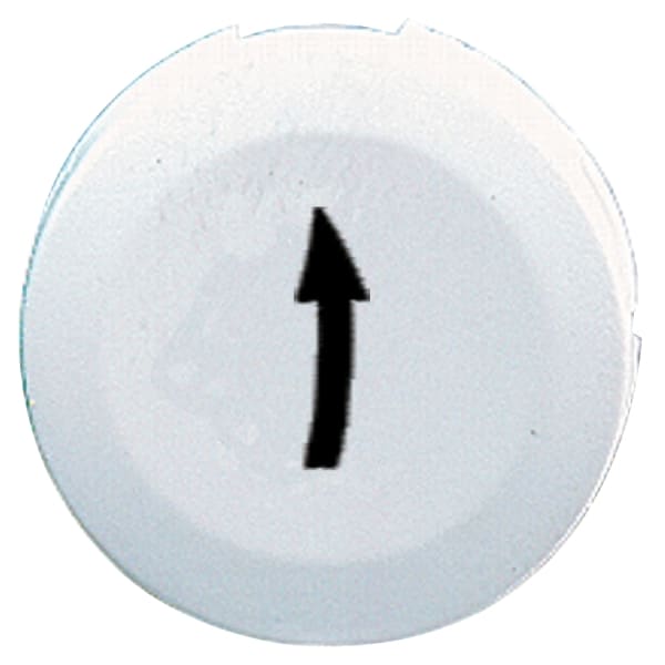 SCHNEIDER ELECTRIC - Tastenschild f. Drucktaster o. Leuchtmelder, Pfeil n. oben, weiß, rund