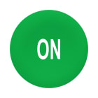 SCHNEIDER ELECTRIC - Tastenschild, grün, ON in weiss, für Flush 30mm