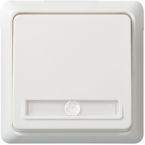 SCHNEIDER ELECTRIC - Taster 10A beleuchtet komplett separa. N-Leit RENOVIERUNG Schraubklemme reinweiß
