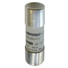 SCHNEIDER ELECTRIC - Hochgeschwindigkeitssicherung, 22X58, 100A, Box mit 10 Sicherungen