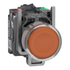 SCHNEIDER ELECTRIC - Leuchtdrucktaster, Harmony XB4, Metall, 22mm, orange, unbeschriftet, LED, glatte Kalotte, 1S+1Ö, 24V ACDC, Push-In