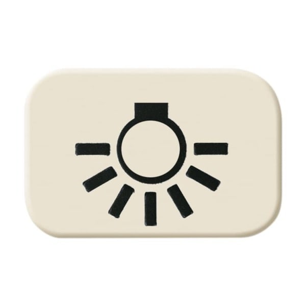 BUSCH-JAEGER - Tastersymbol mit Symbol Licht weiß - Busch-Duro 2000 SI