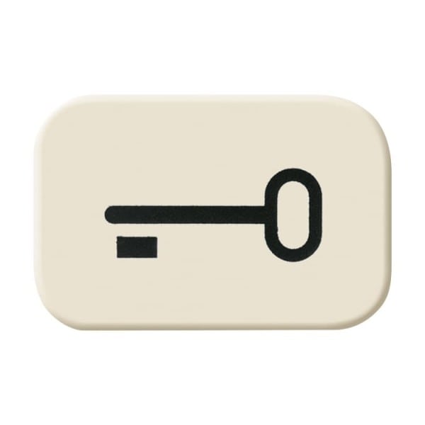BUSCH-JAEGER - Tastersymbol mit Symbol Schlüssel weiß - Busch-Duro 2000 SI