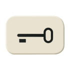 BUSCH-JAEGER - Tastersymbol mit Symbol Schlüssel weiß - Busch-Duro 2000 SI