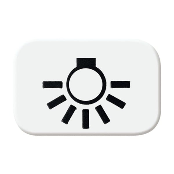 BUSCH-JAEGER - Tastersymbol mit Symbol Licht alpinweiß - balance SI / Reflex SI