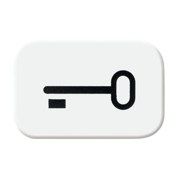 BUSCH-JAEGER - Tastersymbol mit Symbol Schlüssel alpinweiß - balance SI / Reflex SI