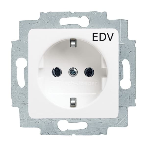 BUSCH-JAEGER - SCHUKO Steckdosen-Einsatz mit Aufdruck EDV 50 x 50 mm alpinweiß - Reflex SI