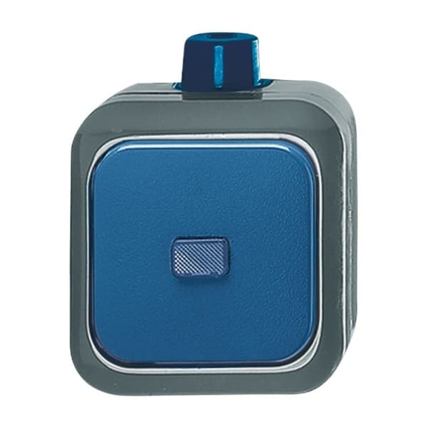 BUSCH-JAEGER - Wippschalter Aus- und Wechselschaltung blau - Busch-Duro 2000 WDI