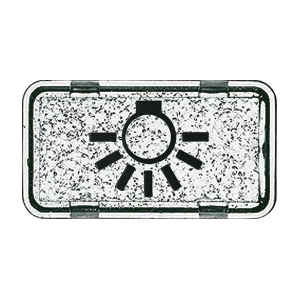 BUSCH-JAEGER - Tastersymbol mit Symbol ''Licht'' transparent klar - Allwetter 44 (IP44) / ocean