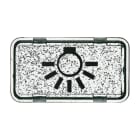 BUSCH-JAEGER - Tastersymbol mit Symbol ''Licht'' transparent klar - Allwetter 44 (IP44) / ocean