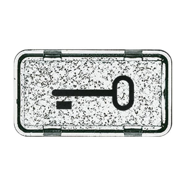 BUSCH-JAEGER - Tastersymbol mit Symbol ''Schlüssel'' transparent klar - Allwetter 44 (IP44)/ocean
