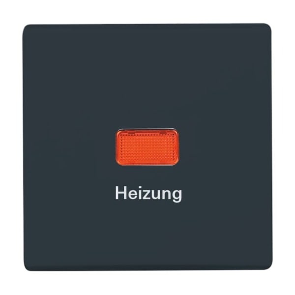BUSCH-JAEGER - Wippe mit Aufdruck Heizung mit roter Kalotte anthrazit - Allwetter 44 (IP44)