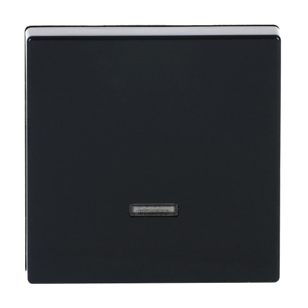 BUSCH-JAEGER - Bedienelement 1-fach für Schalter/Dimmer anthrazit - Plattform 63