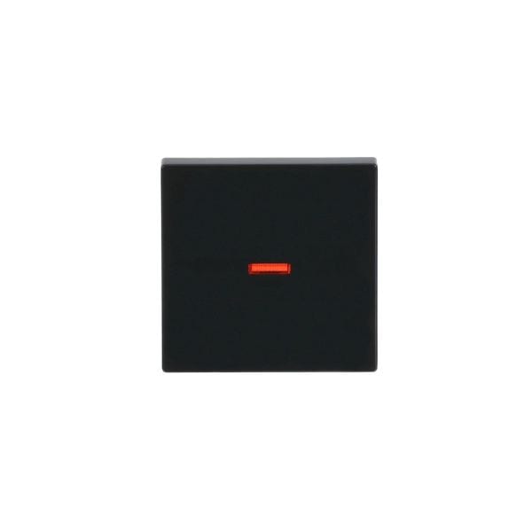 BUSCH-JAEGER - Wippe mit kleiner roter Kalotte Wippe anthrazit - Plattform 63