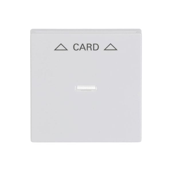 BUSCH-JAEGER - Zentralscheibe mit Aufdruck Pfeile Card Cardschalter studioweiß - Plattform 63