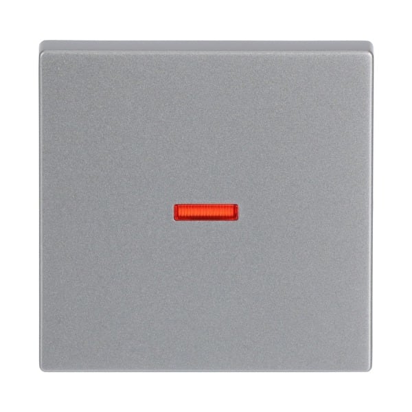 BUSCH-JAEGER - Wippe mit kleiner roter Kalotte Wippe alusilber - Plattform 63