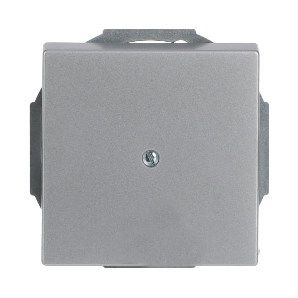 BUSCH-JAEGER - Zentralscheibe Leitungsauslass mit Tragring alusilber - Plattform 63