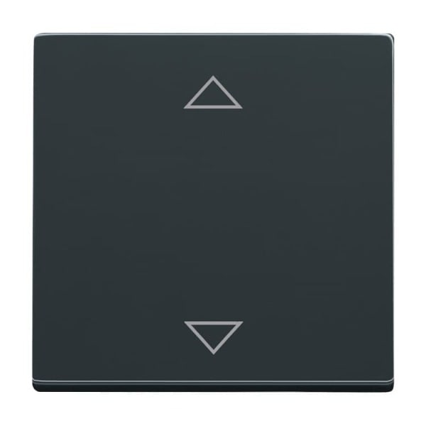 BUSCH-JAEGER - Busch-Jalousiecontrol II 1 fach Bedienelemen anthrazit - Plattform 63