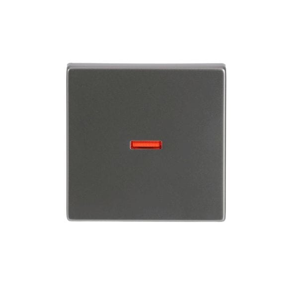BUSCH-JAEGER - Wippe mit kleiner roter Kalotte Wippe edelstahl - pur edelstahl