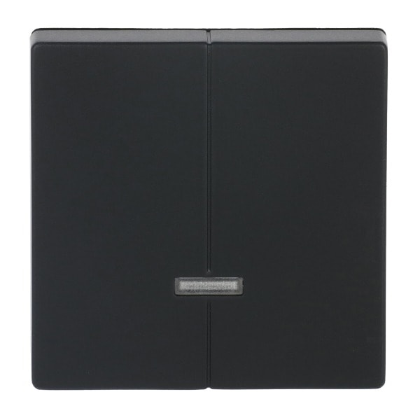 BUSCH-JAEGER - Bedienelement 2-fach für Dimmer mit Glimmlampe schwarz matt - Plattform 63