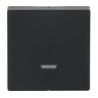 BUSCH-JAEGER - Bedienelement 2-fach für Dimmer mit Glimmlampe schwarz matt - Plattform 63