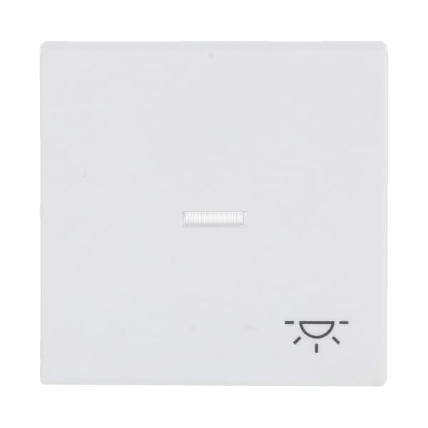 BUSCH-JAEGER - Wippe mit Aufdruck Licht mit transparenter Kalotte studiow matt - Plattform 63