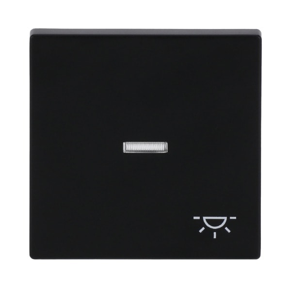 BUSCH-JAEGER - Wippe mit Aufdruck Licht mit transparenter Kalotte schwarz matt - Plattform 63